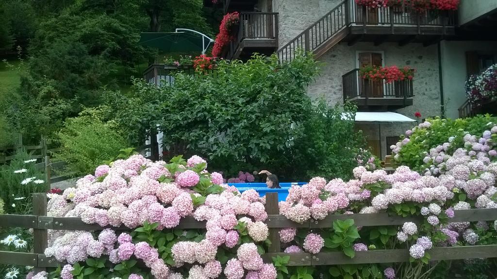 Antica Casa Ortensia Riva del Garda Quarto foto