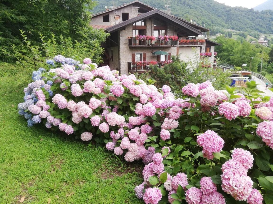 Antica Casa Ortensia Riva del Garda Exterior foto